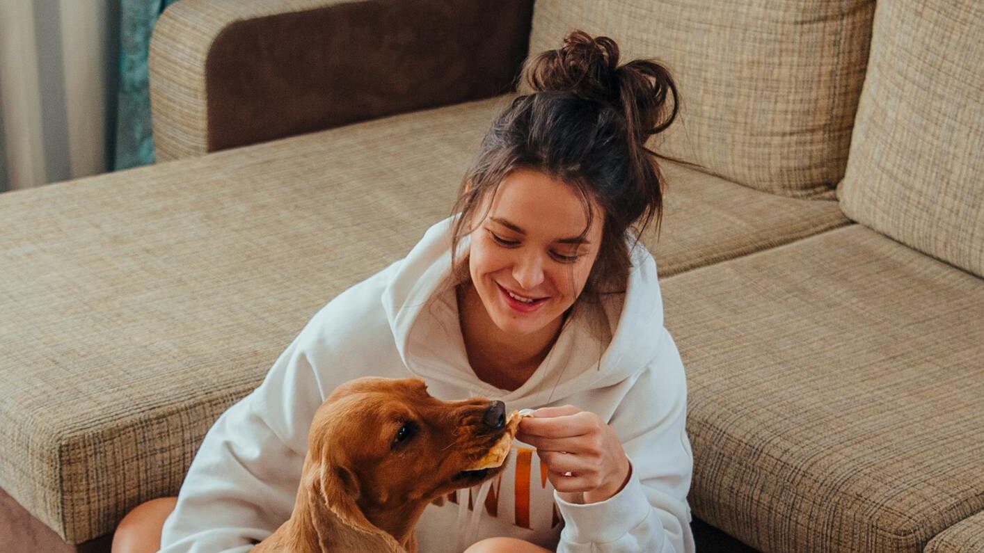 Rategeber und Hundefutter Tipps bei Allergien für hypoallergene Ernährung des Hundes
